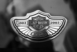 Harley-Davidson сообщает о снижении продаж и возможной остановки производства