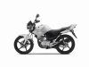 Компания Yamaha обновила популярный мотоцикл YBR 125 - фото 1