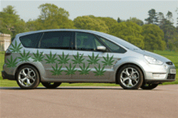 Форд будет делать автомашины из марихуаны