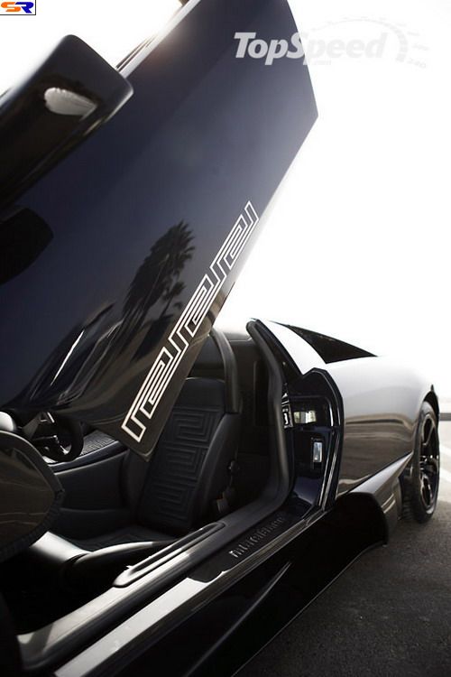 Lamborghini LP640 Roadster Versace Edition. ФОТО