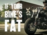  2 Harley-Davidson Dyna Fat Bob FXDF