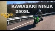   Kawasaki Ninja 250SL