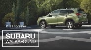 Subaru Forester -  ,  