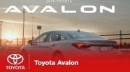   Toyota Avalon