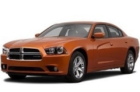 Dodge Charger {YEAR}