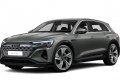 Audi Q8 e-tron (GE) 2022