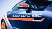 Jaguar   Bloodhound     -  5