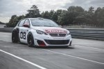 Peugeot   308 Racing Cup -  10
