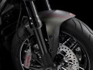  Ducati   Diavel Carbon 2016 -  10