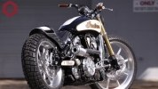Project Scout:    Indian Scout -  17