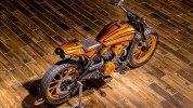 Project Scout:    Indian Scout -  24
