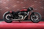 Project Scout:    Indian Scout -  29