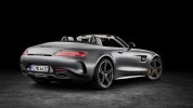 Mercedes-Benz   AMG GT -  14