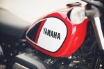 Intermot 2016:   Yamaha SCR950 Street Scrambler 2017 -  7