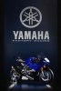 EICMA 2016:   Yamaha YZF-R6 2017 -  9