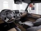   Mercedes-Benz G-Class     -  6