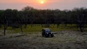    Mahindra  Jeep Wrangler -  7
