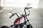   Harley-Davidson Iron 1200 2018  Harley-Davidson Forty-Eight Special 2018 -  14