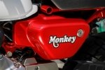    Honda Monkey -  19