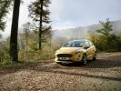  Ford Fiesta Active    -  27