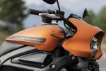 Harley-Davidson     -  14