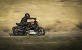 Harley-Davidson     -  9