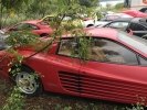 Кладбище заброшенных суперкаров Ferrari - фото 21