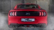   Ford Mustang  Wolf Racing -  1