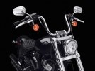 Harley-Davidson    Softail Standard 2020 -  8