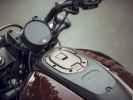   Harley-Davidson Sportster S -  16