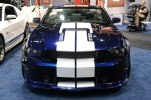  Shelby GT350   -  10