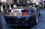  Shelby GT350   -  9