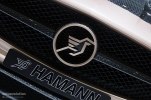 Hamann Hawk    -  2