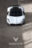       Bugatti Veyron -  22