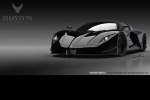       Bugatti Veyron -  8
