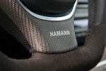 Hamann   BMW 5 Series F11 -  14