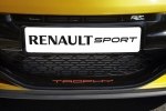  Renault   Megane RS  -  18