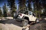 Jeep Wrangler    -  10