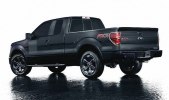 Ford F-150   FX -  4