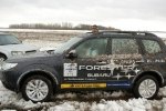     Forester      -  1