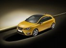 SEAT   Ibiza CUPRA -  15