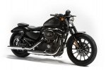  Harley-Davidson Sportster Iron 883 Italy Special Edition -  1