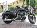  Harley-Davidson Sportster Iron 883 Italy Special Edition -  2