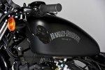  Harley-Davidson Sportster Iron 883 Italy Special Edition -  4