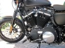  Harley-Davidson Sportster Iron 883 Italy Special Edition -  7