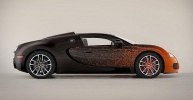  Bugatti   Veyron -  14