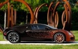  Bugatti   Veyron -  7