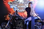  Harley-Davidson  :   -  4