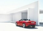 Jaguar F-Type  608-  -  15