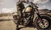   Harley-Davidson Fat Bob 2014 -  4